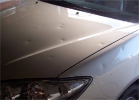 Hail damaged cars can be repaired with paintless dent repair